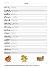 DSS_2S_Bu_b_Nr_10.pdf